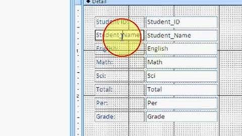 Free Learn Microsoft Access 2007 Urdu Video Course Class 6
