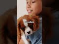 Dog Breeds That LOVE to Cuddle
