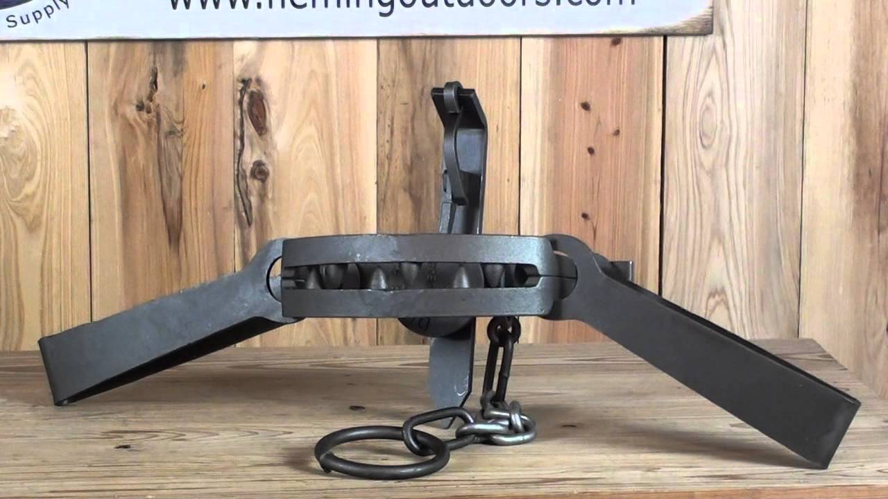 Duke 15 Offset Jaw Bear Trap YouTube