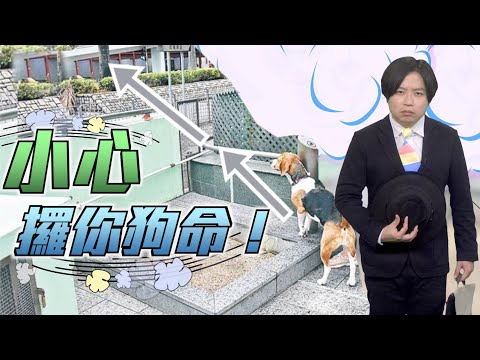 【on.cc東網】東網評論：設計有伏藏短板　寵物公園變陷阱