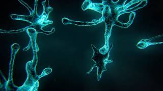 Celebrity Growing Dendrites // C4D Tutorial Profile