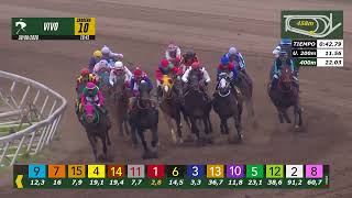 Vidéo de la course PMU ULTRAJE HANDICAP