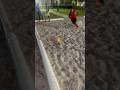 Sandpit training for speed #tampa #football #sports #speed @buccaneers