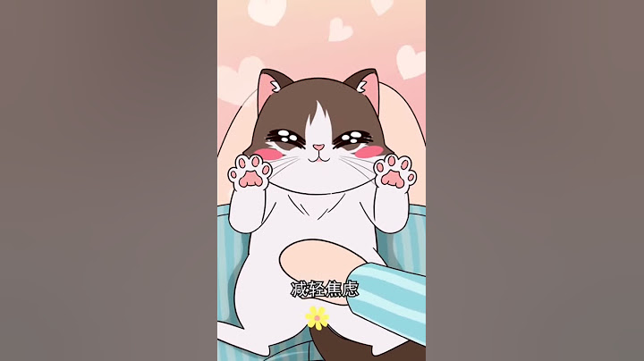 你要知道，养猫有这几大好处，看看谁还不让你养猫。［猫咪知识］有猫真好