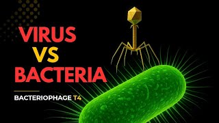 The Virus That Destroys Bacteria: Bacteriophage T4