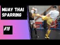 Muay thai sparring19muaythai sparring training kickboxing fight zen boxing boxer