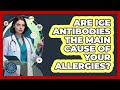 Are IgE Antibodies The Main Cause Of Your Allergies? - All About the Immune System