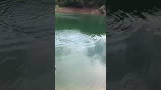 Güzel Bir Balıktı. Yağıştan Dolayı Avımızı Erken Sonlandırdık. Almus Barajı. 08.07.2023