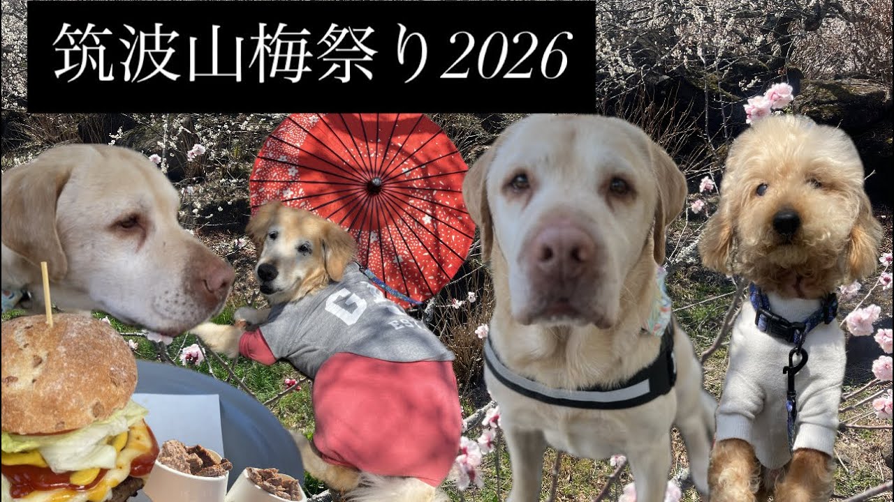 オットリオで筑波山梅まつり2026/個人レッスン