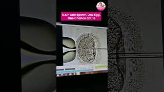 The journey of life begins long before a heartbeat l Makhija IVF l Bilaspur- Raipur C.G.