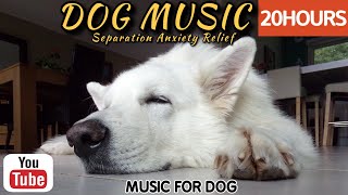 98 часов любимой музыки собак🐶💖Музыка для сна собак 🐶🎵 Музыка для снятия беспокойства при разлуке🎵
