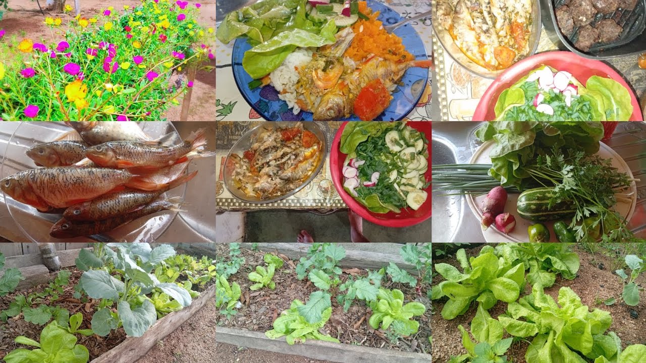 Hj foi dia plantar na horta/fiz sardinha caseira/e mudei cozinha  junto fogão a lenha /um almoço 😋