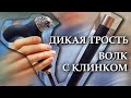 Дикая трость | Волк с клинком