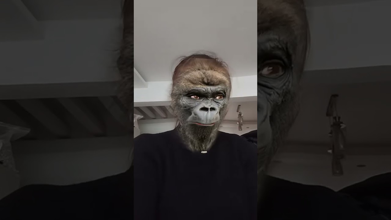 Funniest Animal Costume Transformations on the Internet | Hilarious Moments!