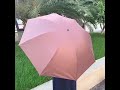 Video Image