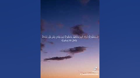 تلاوة مختارة من سورة الأنعام /القارئ عبدالله أبوبكر