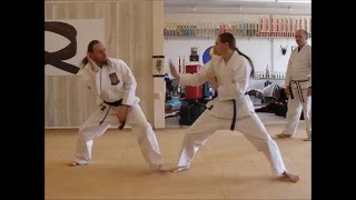 Complete Martial Arts Black Belt Kumite Testing