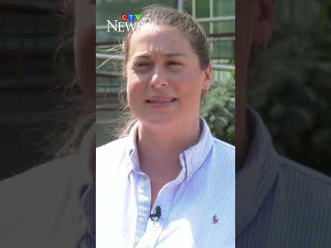 Waterloo <strong>Region</strong> considers changes to well complaint process