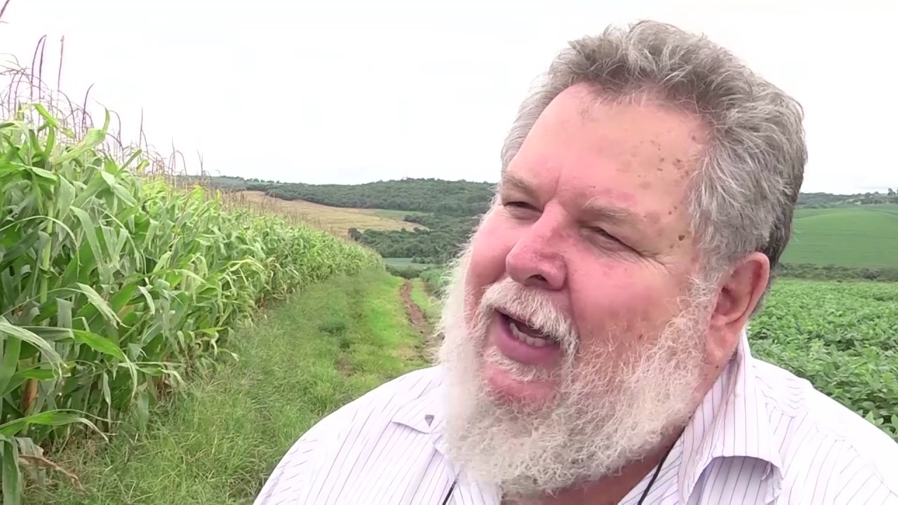 Como preparar o solo para produzir 250 sacas de milho