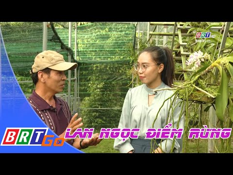 Mô hình trồng lan Ngọc Điểm rừng | BRTgo | Foci