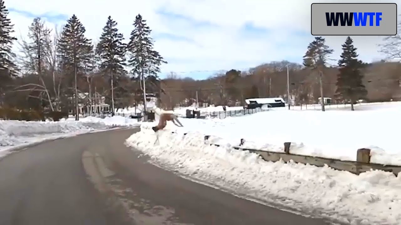 Snow sport crash | WWWTF