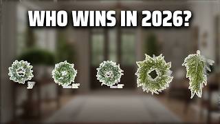 The Top 5 Best Fern Wreath in 2026 - Must Watch Before Buying! The Top 5 Best Fern Wreath in 2026 - Must Watch Before Buying!