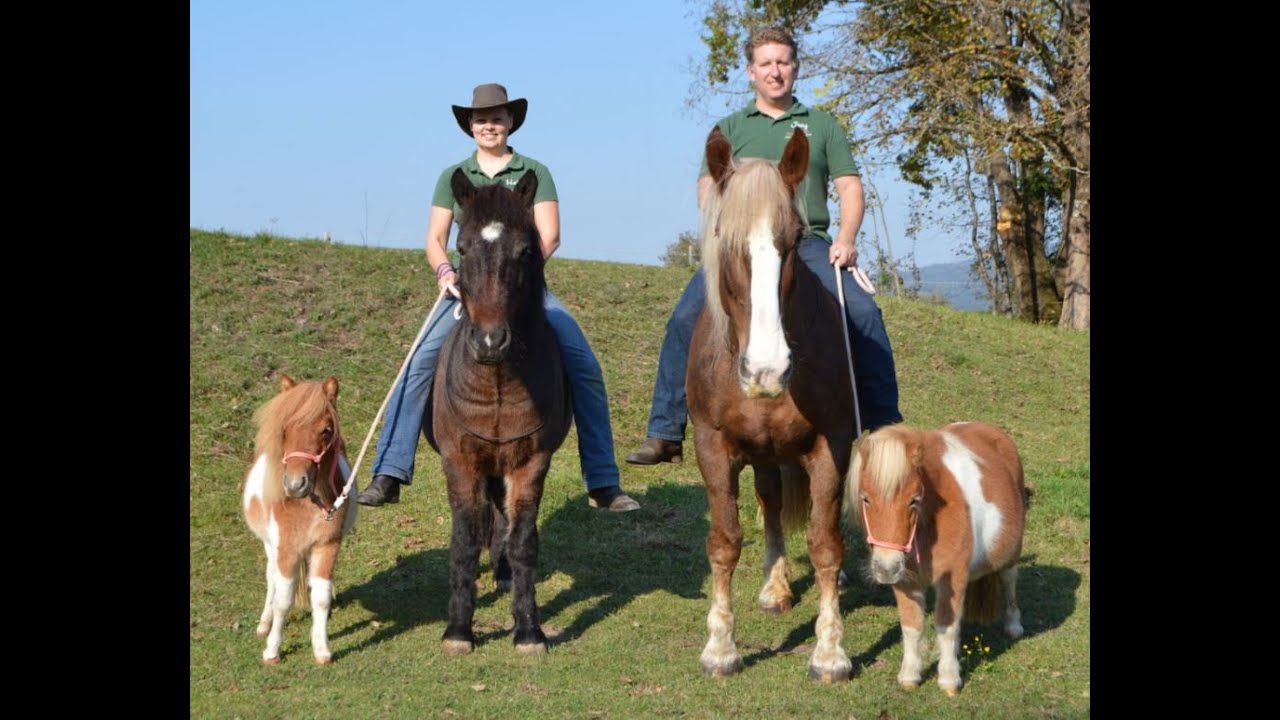 Freies Reiten am 19-20. Juni 2021