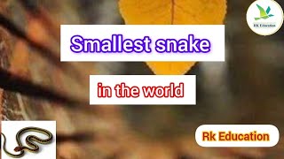 Smallest Snake In The World