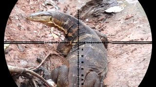 HUNTING THE MOTHER OF THE MOANA