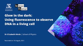 Glow in the dark: Using fluorescence to observe DNA in a living cell