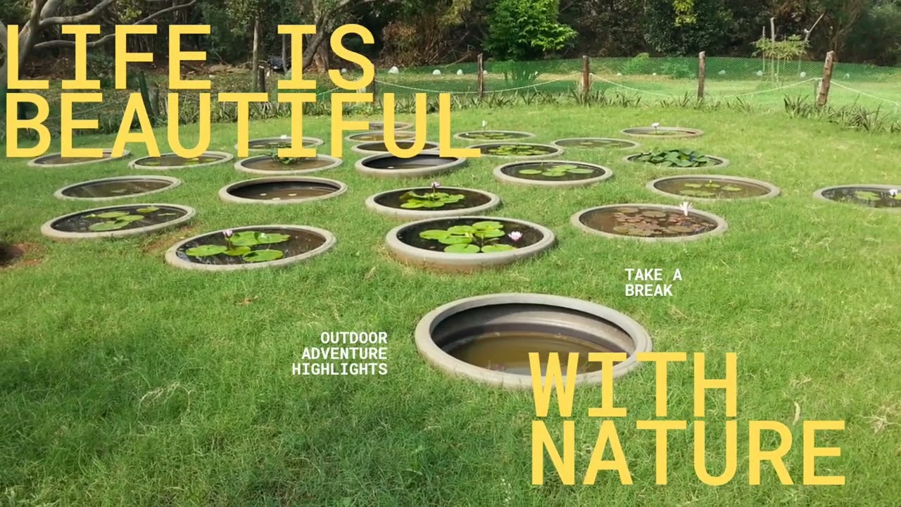 If you’re a bird lover, this is for you. - Sewri Flamingo Viewpoint