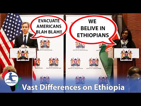 Watch the Vast Difference of US and Kenyan Envoys Take on the Ethiopian Conflict