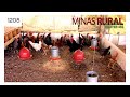 MINAS RURAL - 1208 - 01/02/2020