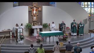 Thirteenth Sunday in Ordinary Time