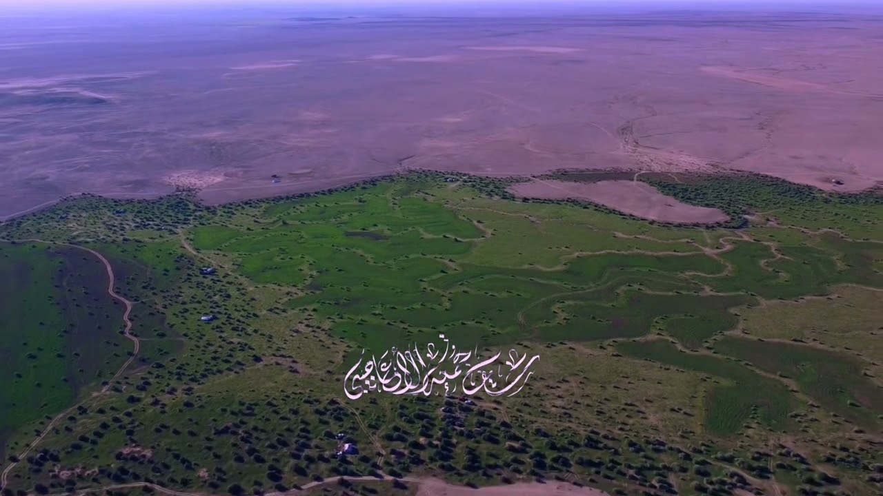 بادية السماوة فيضة ام العصافير