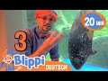 Blippi im Aquarium | Videos | Blippi | Moonbug Kids Deutsch