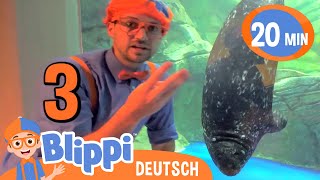 Blippi im Aquarium | Videos | Blippi | Moonbug Kids Deutsch