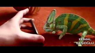 Playstation, Wii, Iphone, Isme Özel Hediyeler