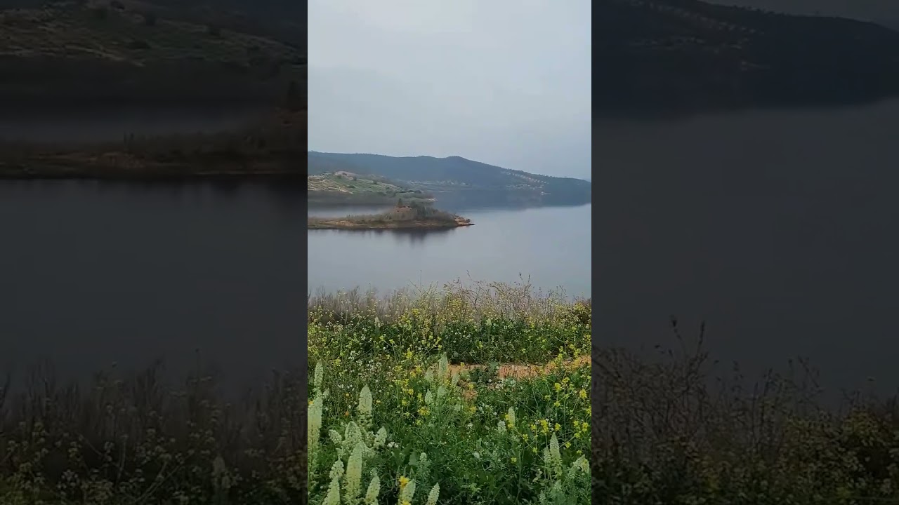 الشيخ عبد الرزاق البدر