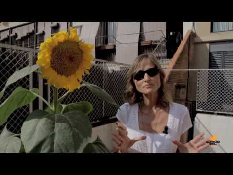 Vídeo: Consells per cultivar plantes de gira-sol per a l'alimentació