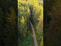 NATURE LANDSCAPE 4K