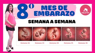 Octavo mes de embarazo así crece tu bebé 🤱[Embarazo semana a semana]👶