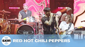 Dani California  — Red Hot Chili Peppers | LIVE Performance | SiriusX