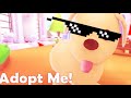 Adopt Me Funny Moments