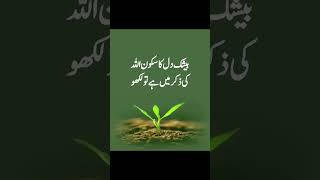 #motivation #answer #love #quotes #poetry #hijabehaya #duet #sad #hijab #lifeisbutadream