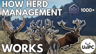 Learn How Respawns & Herd Management Works in theHunter: COTW | Unique Visual Representation | UziPC