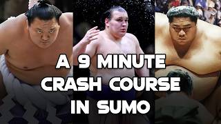 Everything You Need To Know About Sumo