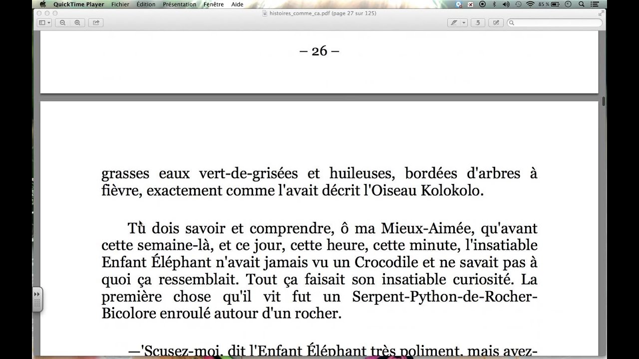 Histoires comme ça - L'enfant éléphant