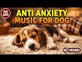 10 Hours Calming Music for Dogs 🐶 Stop Barking, Anxiety Relief &amp; Deep Sleep Dog Music