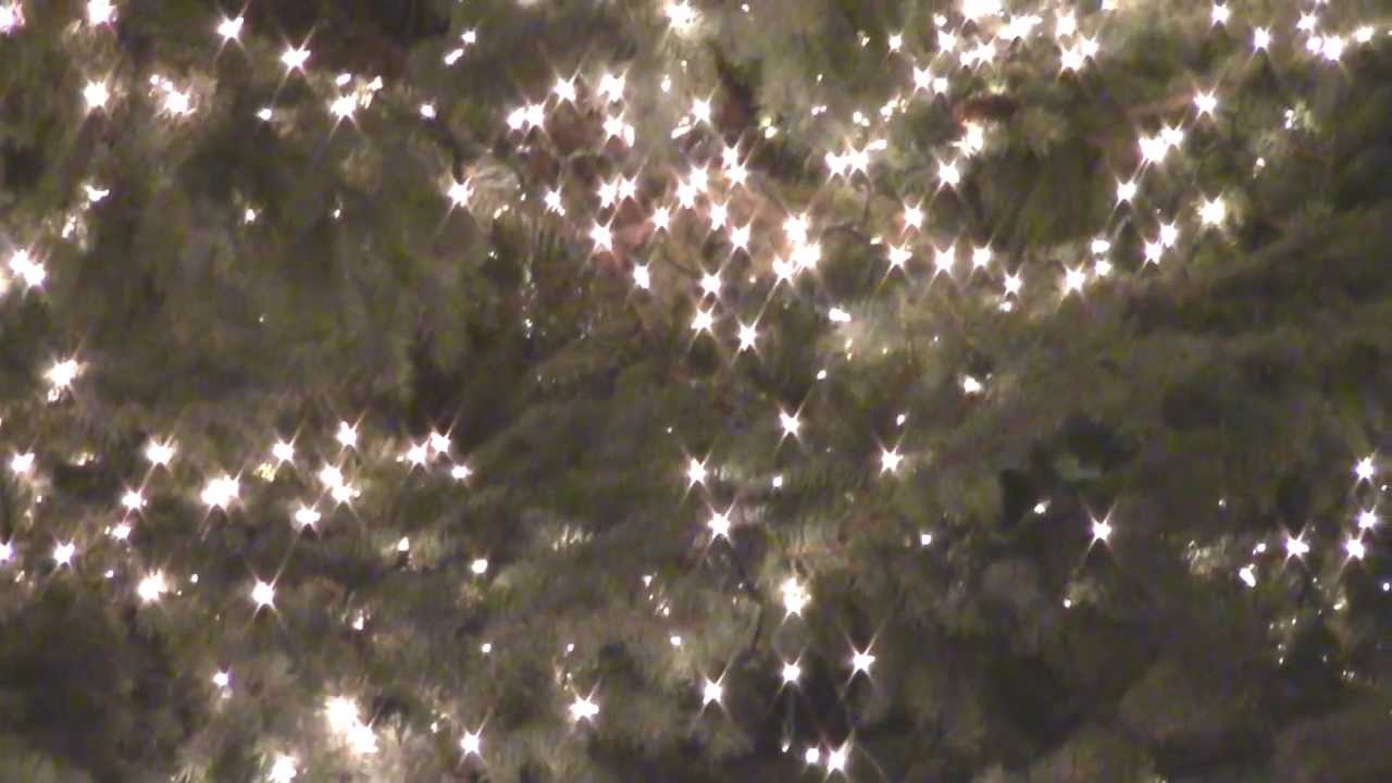 2013 Findlay Christmas Tree Lighting YouTube